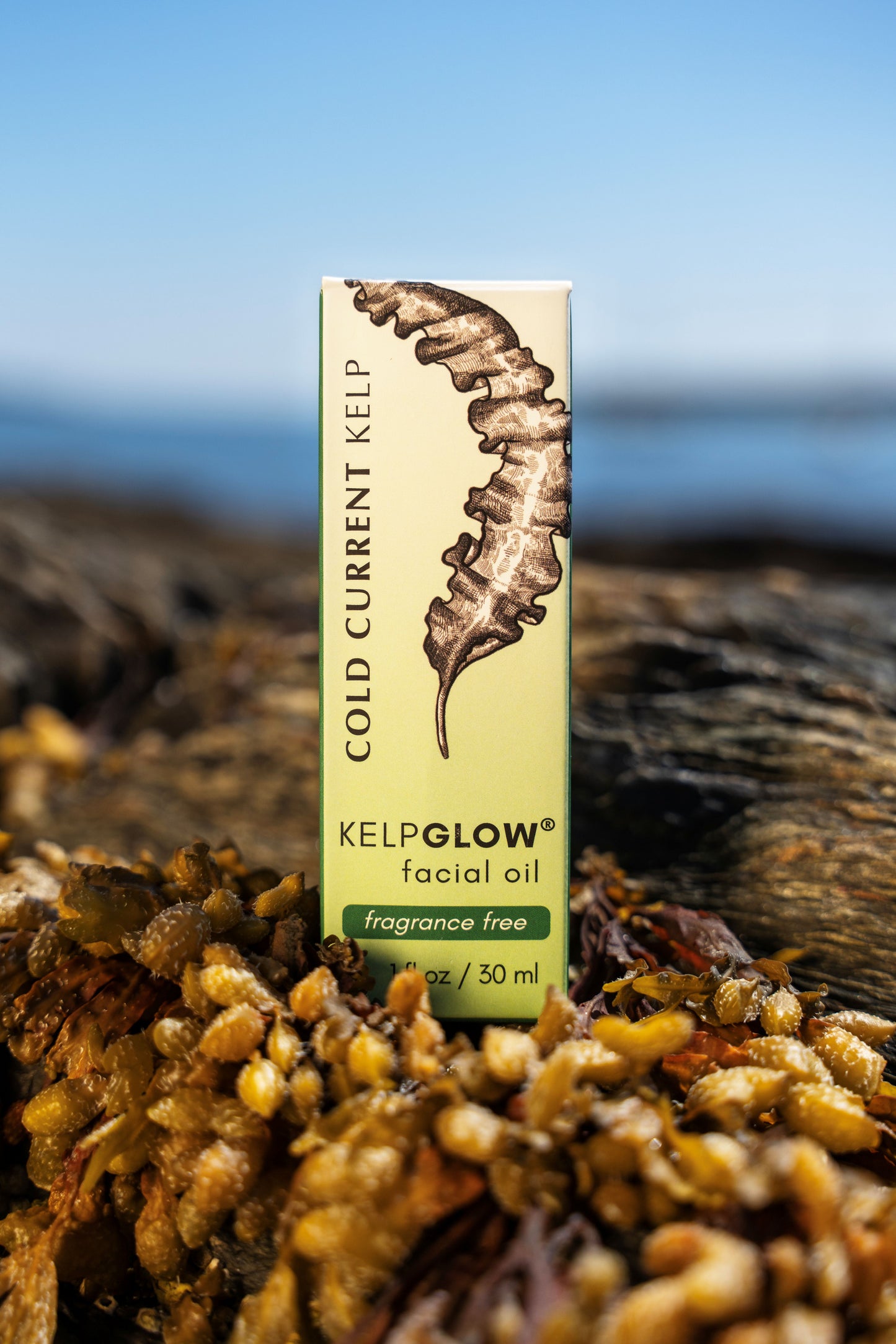 KelpGlow® Facial Oil (Fragrance Free) - 1 fl oz (30ml)