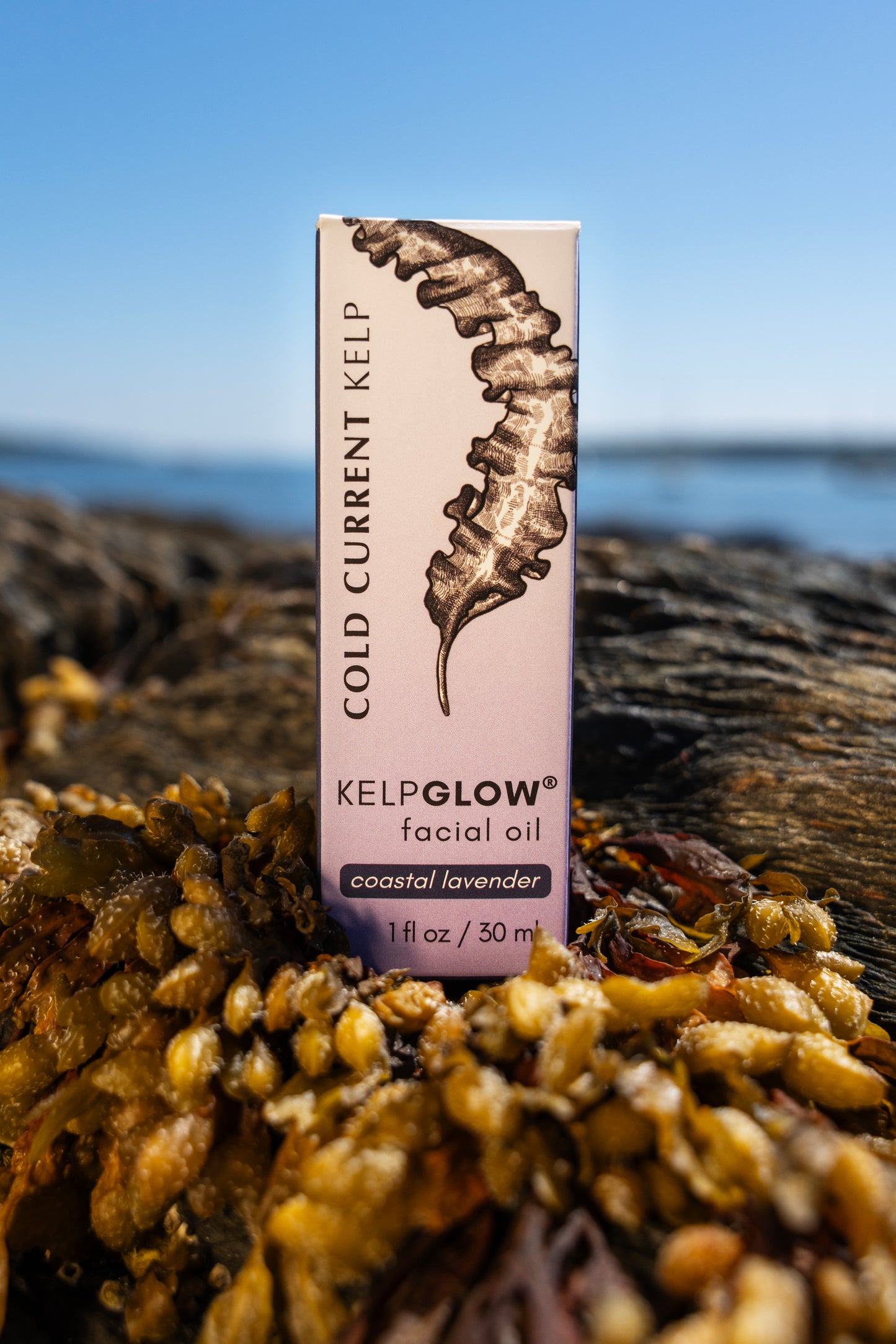 KelpGlow® Facial Oil (Coastal Lavender) - 1 fl oz (30ml)