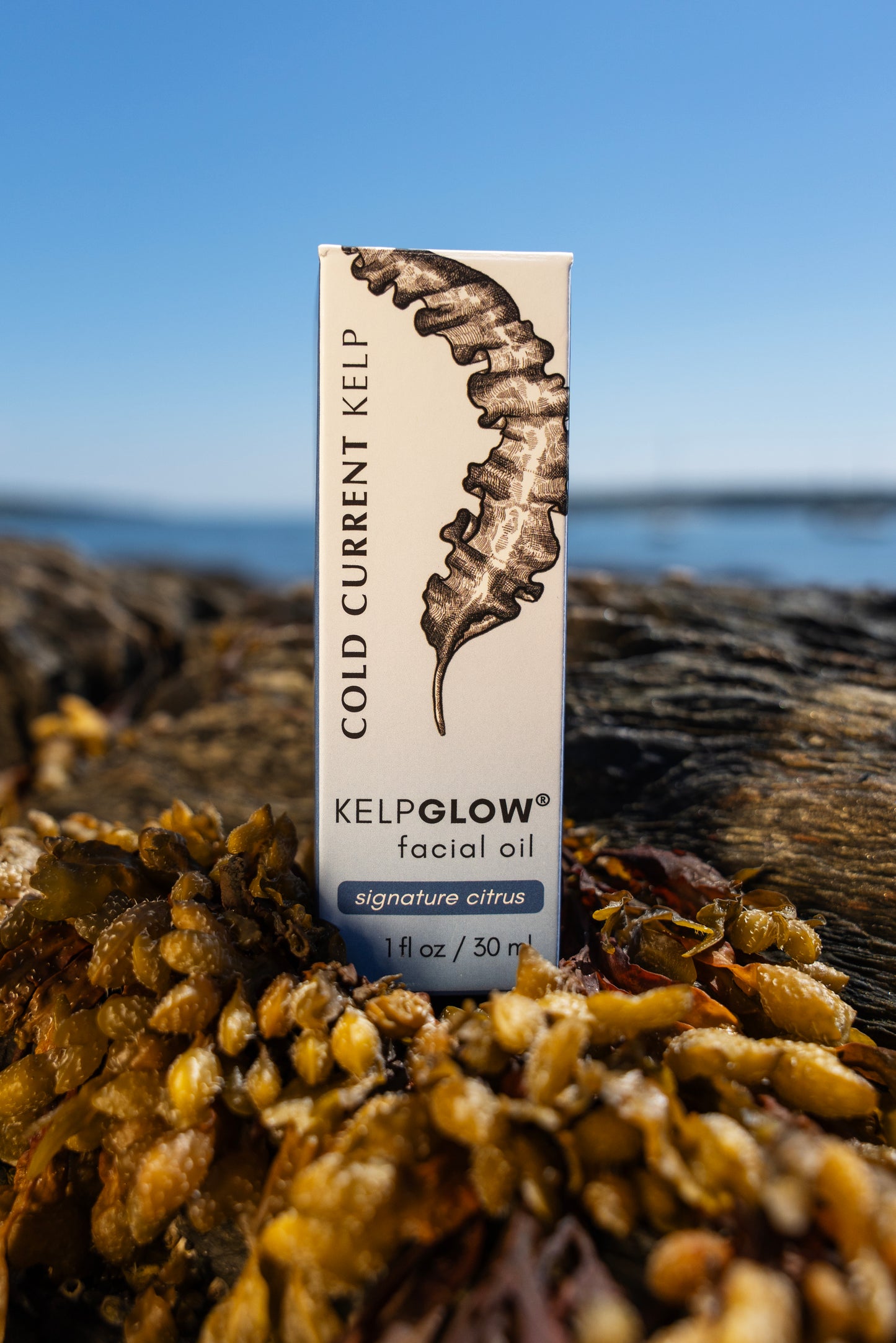 KelpGlow® Facial Oil (Signature Citrus) - 1 fl oz (30ml)