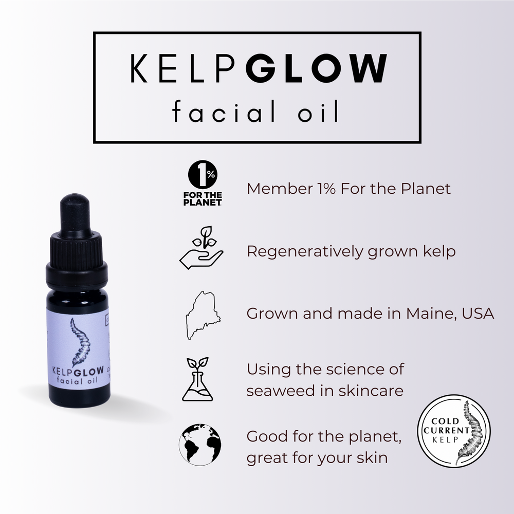 
                      
                        KelpGlow Facial Oil Mini (Coastal Lavender)
                      
                    