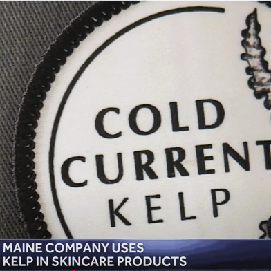 Made in Maine