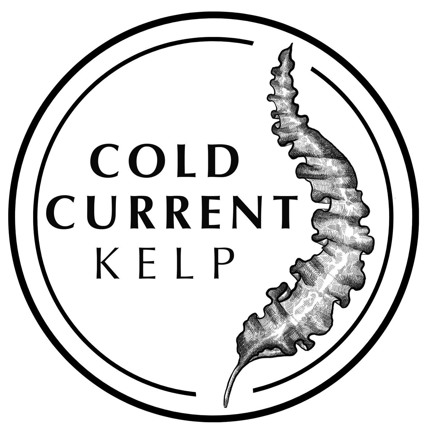 About Us Cold Current Kelp about-us-cold-current-kelp