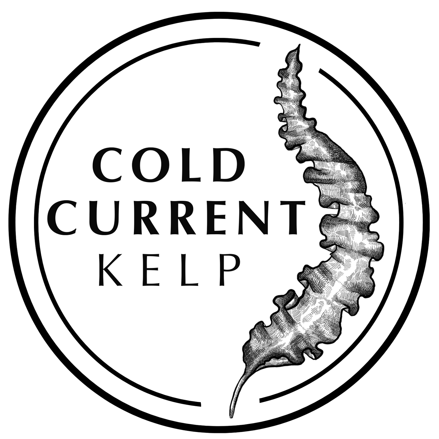 Cold Current Kelp