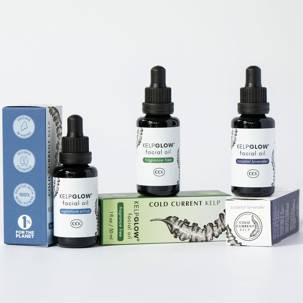 
                      
                        Tote Bag - KelpGlow x Sea Bags
                      
                    