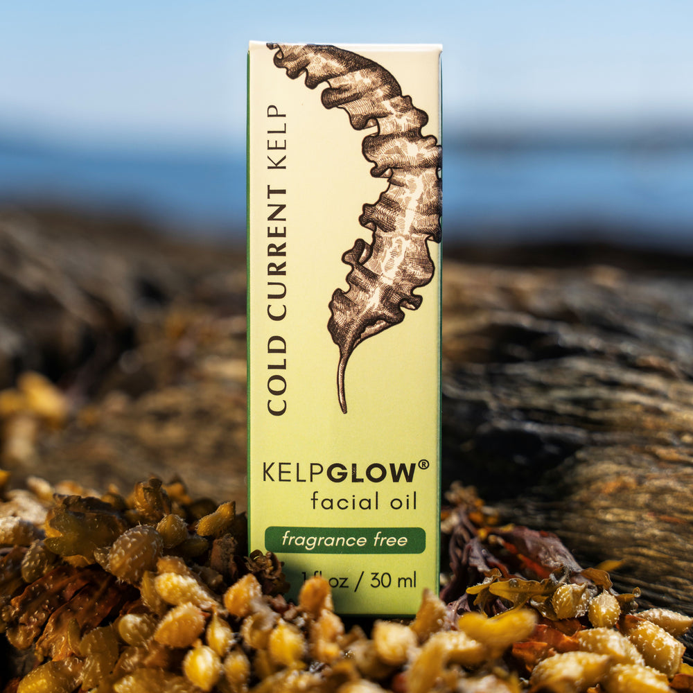 
                      
                        KelpGlow® Facial Oil (Fragrance Free) - 1 fl oz (30ml)
                      
                    