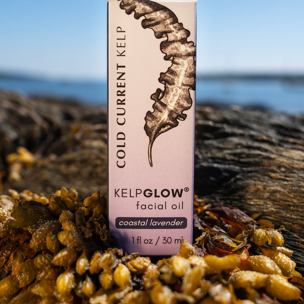 
                      
                        KelpGlow® Facial Oil (Coastal Lavender) - 1 fl oz (30ml)
                      
                    