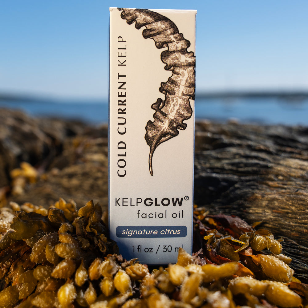 
                      
                        KelpGlow® Facial Oil (Signature Citrus) - 1 fl oz (30ml)
                      
                    